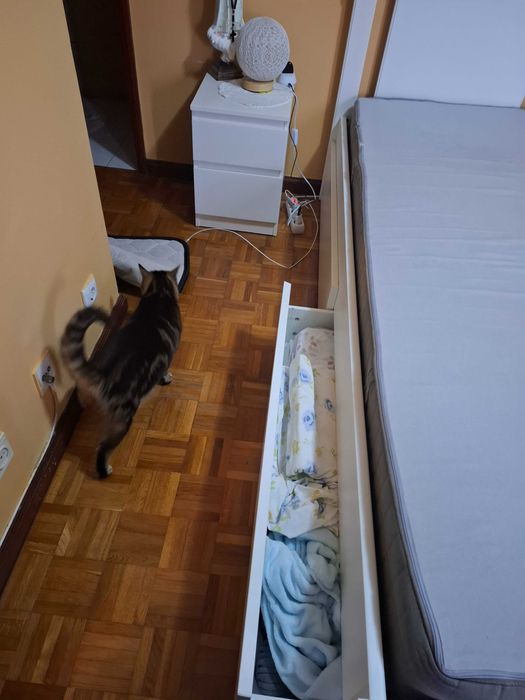 Cama casal com mesa de cabeceira s/colchão