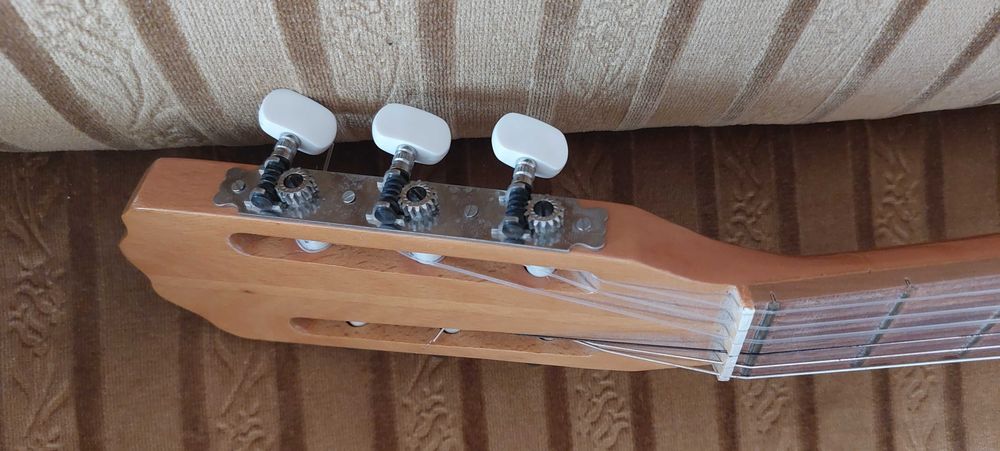 Gitara akustyczna Delfin