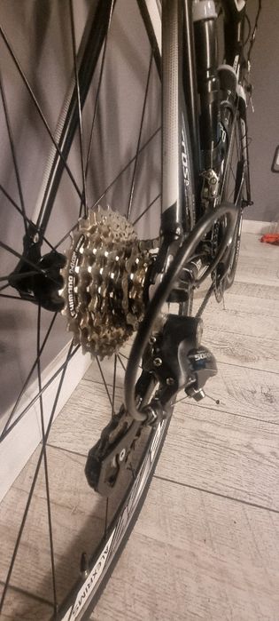 Rower szosowy Scott Speedster 50 L