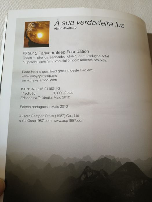 À Sua Verdadeira Luz, Ajahn Jayassaro