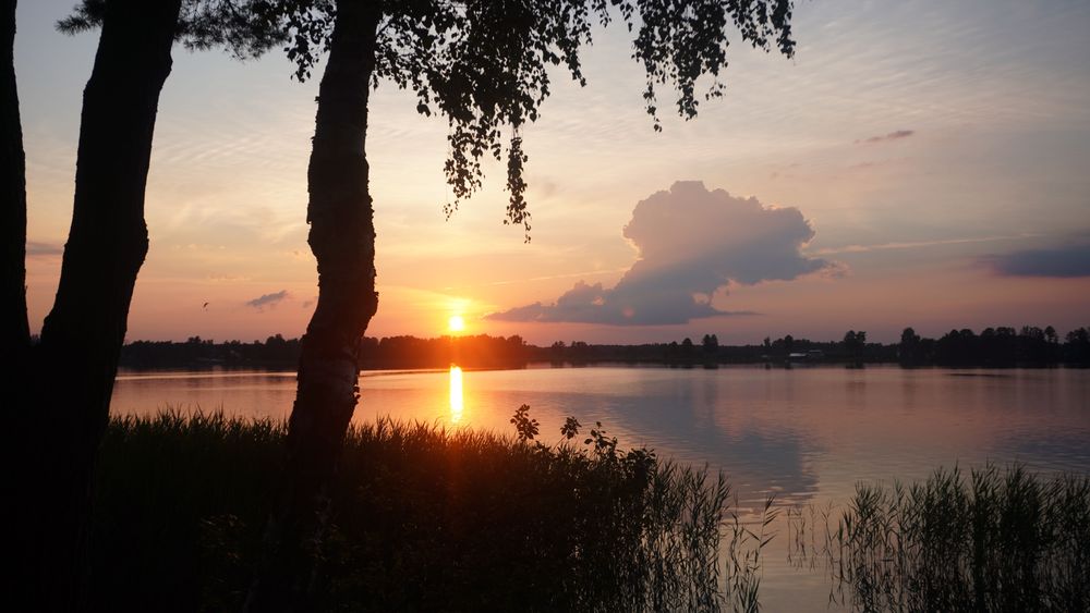 Wielka działka nad PIASECZNEM (Rozpłucie Pierwsze).