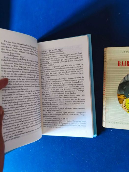 O Homem Que Via Passar os Comboios - G. Simenon