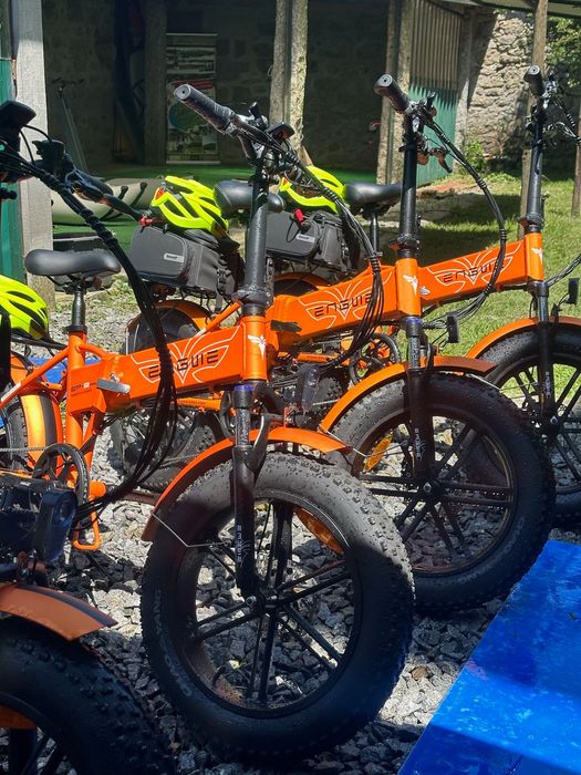 pack de 4 ebikes engwe EP-2PRO