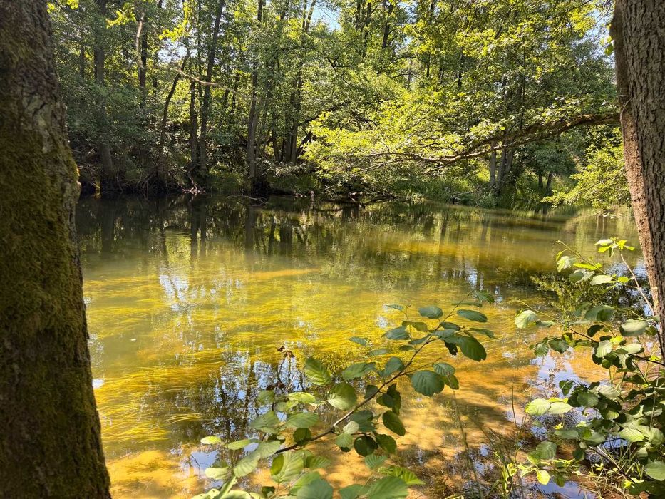 Działeczka nad rzeką Brdą