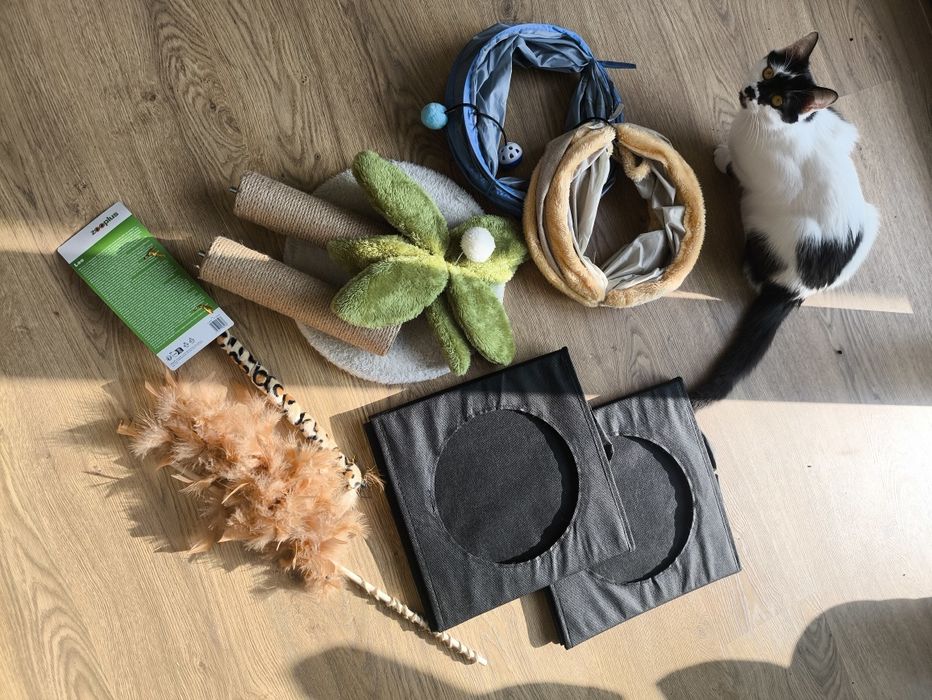 Zestaw dla kota z drapakiem