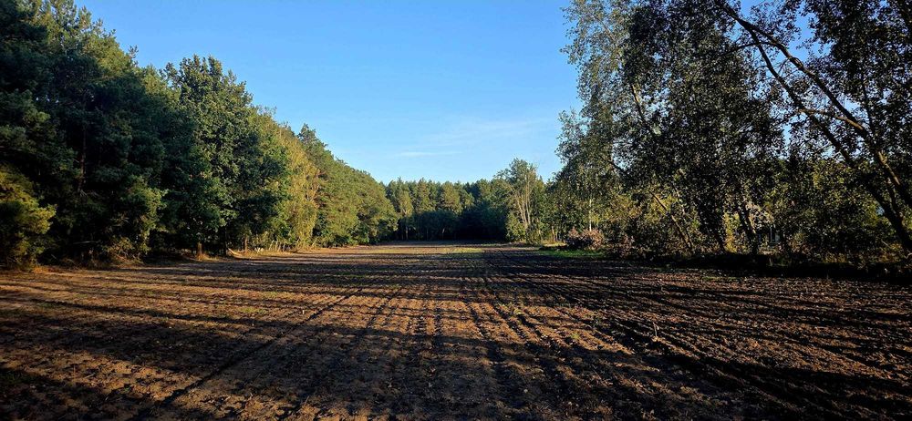 Sprzedam działkę  Łosiniec k. Skoków 3245 m2