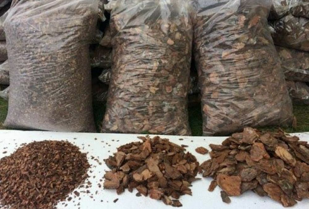 Соснова кора мульча для клумб дачних учасників ландшафтного дизайна