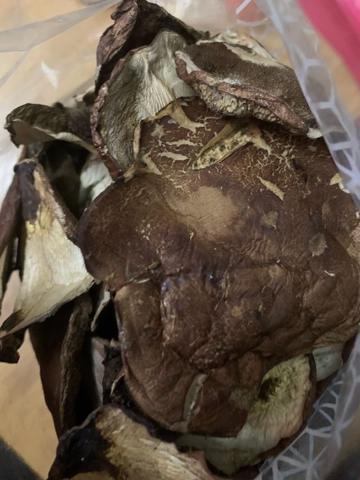 Sprzedam suszone podgrzybki i miodówki.