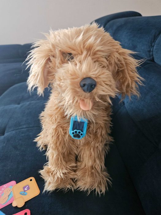 Piesek interaktywny Pikse!!!