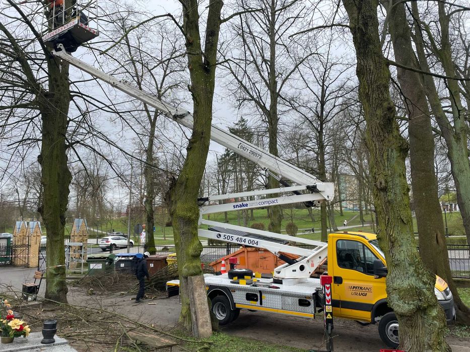 Przycinka drzew, czyszczenie rynien. Podnośnik koszowy.