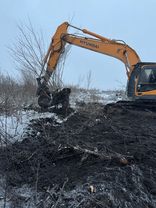 Корчевание деревьев