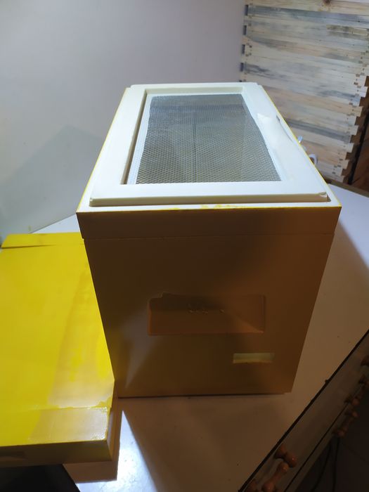 Ul odkładowy, wielkopolski, Miodoland