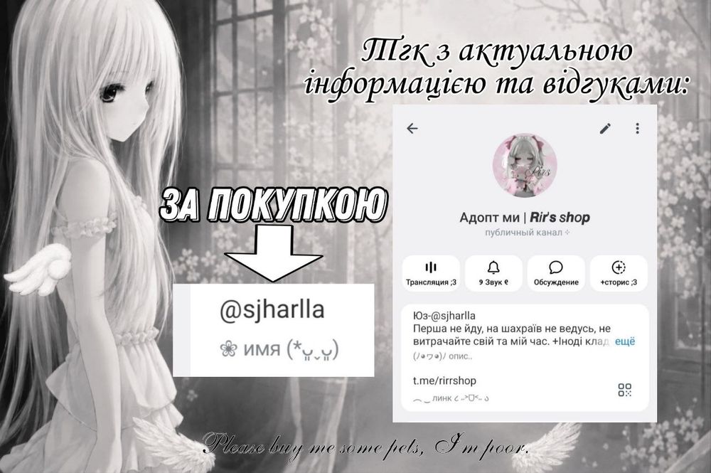 Адопт ми пети тварини