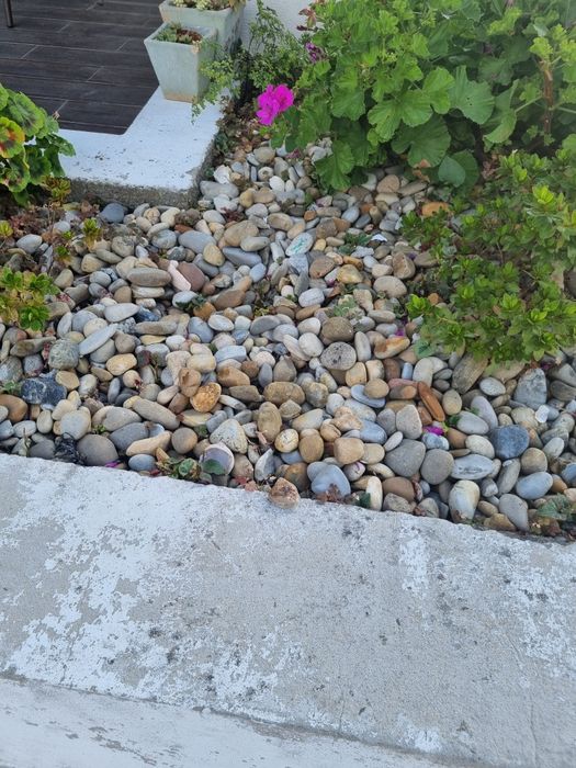 Pedras para jardim