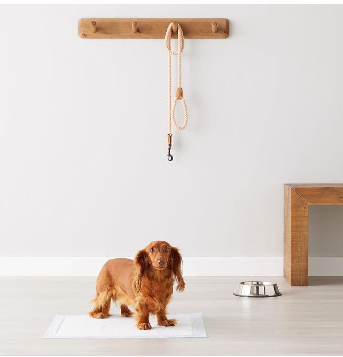 Capa para cães 50 uni