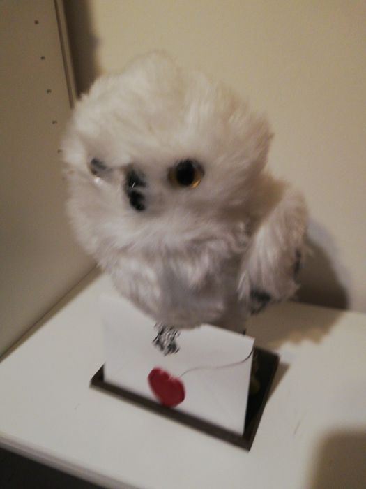 Coruja interativa harry potter