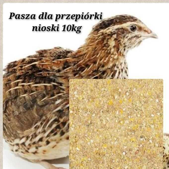 Mieszanka z witaminami dla przepiórki nioski, 10kg