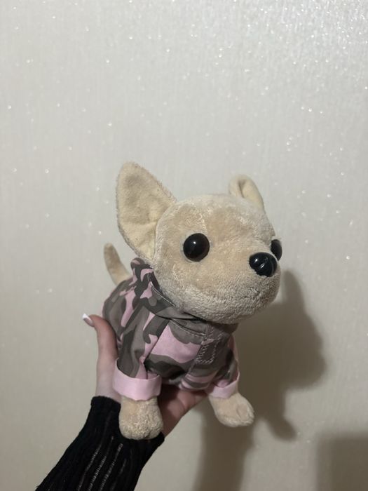 собачка Chi Chi Love
