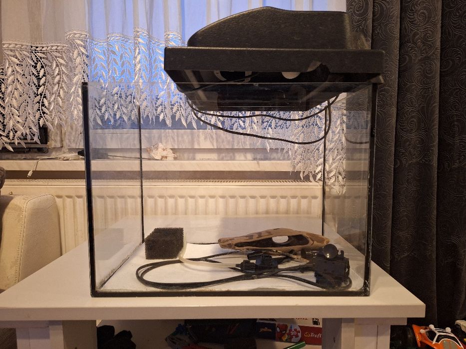 Akwarium 36l Cena do negocjacji.