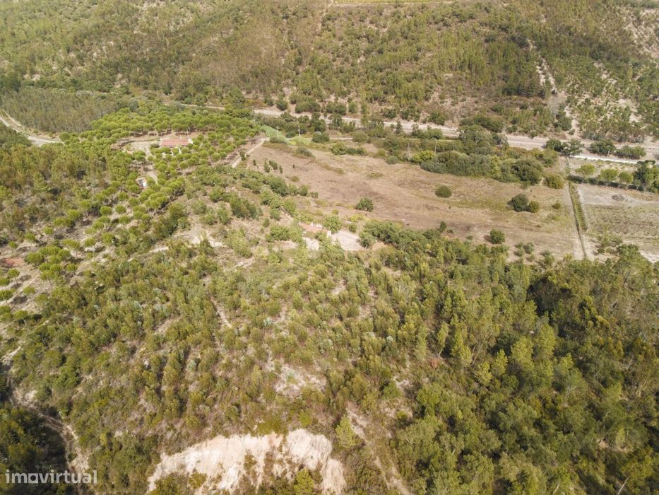 Quinta Florestal de 12,5 Hectares com Casa de Lavrador Centenária em B