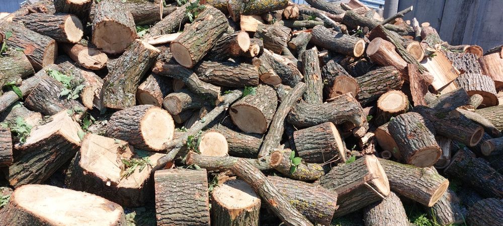 Дрова твёрдых пород колотые.