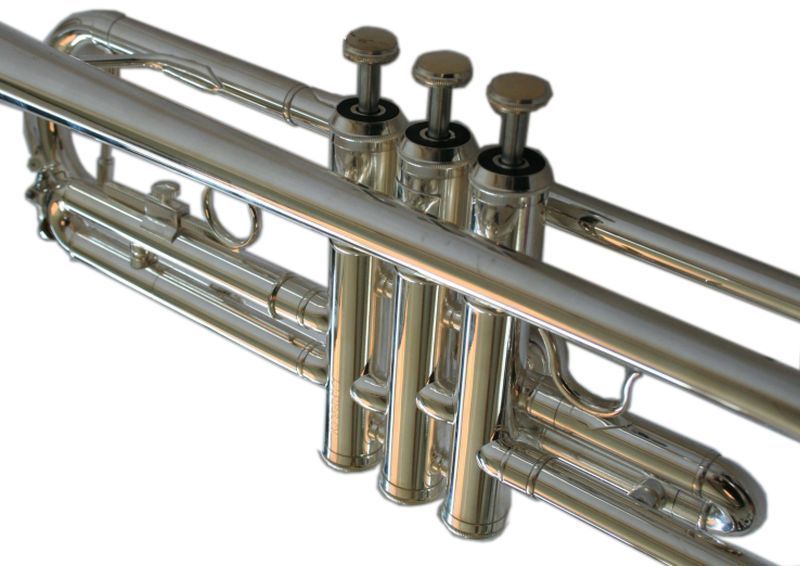 Trompete prateado novo