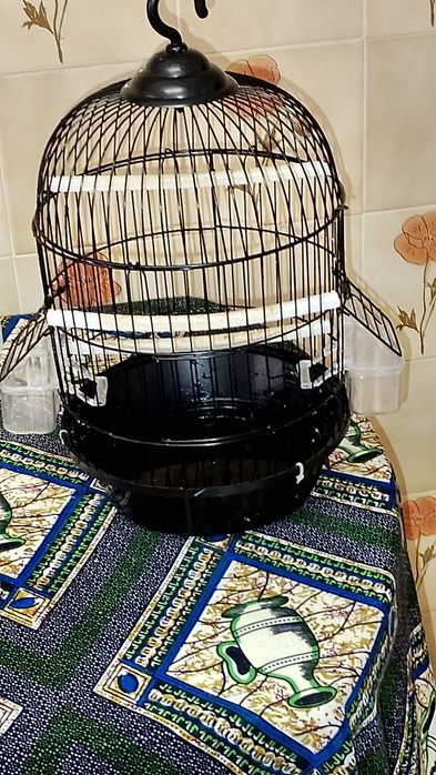 Gaiola para canários