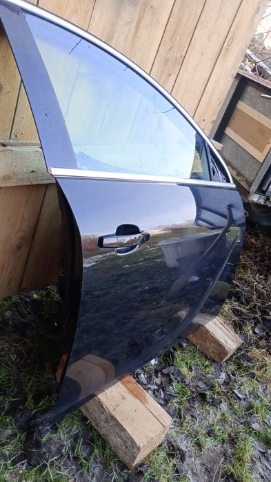 Drzwi insignia A PP z20r