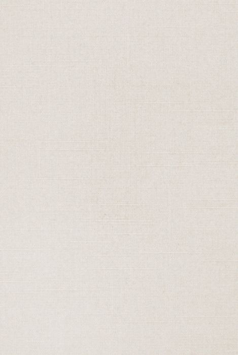 Blackout, Cortina de Rolo 2m x 2,50m