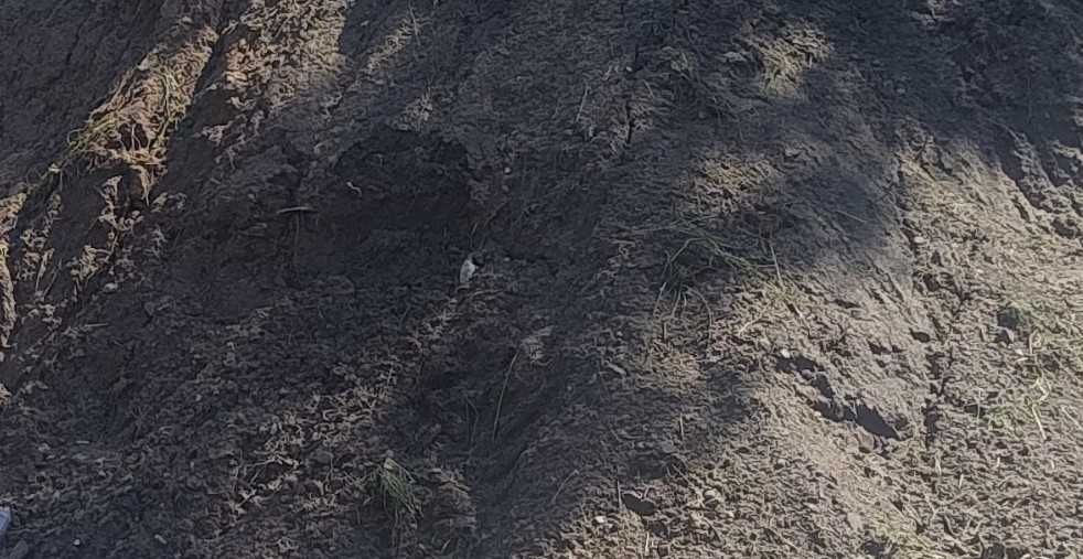 Ziemia humus na podwyższenie terenu