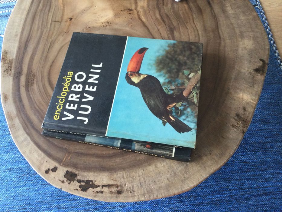 Colecção livros Verbo Juvenil