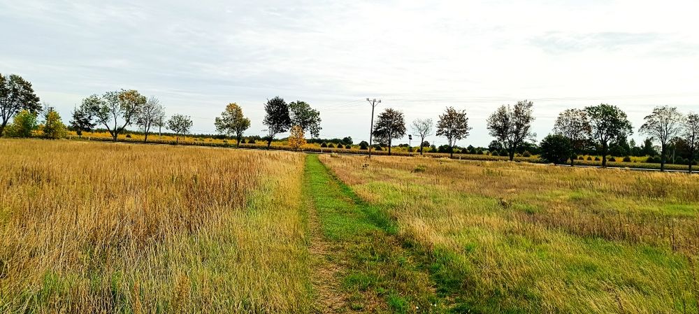 Zdjęcie 5