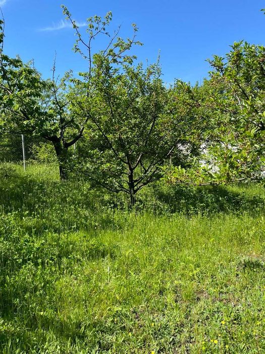 Продам ділянку Коротич