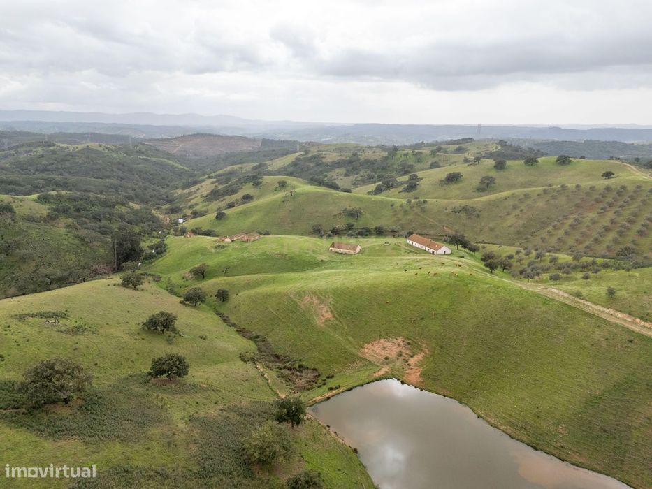Monte Alentejano com 229 Hectares em Odemira