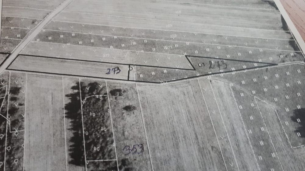 Sprzedam Las,działki rolne - Widok 2