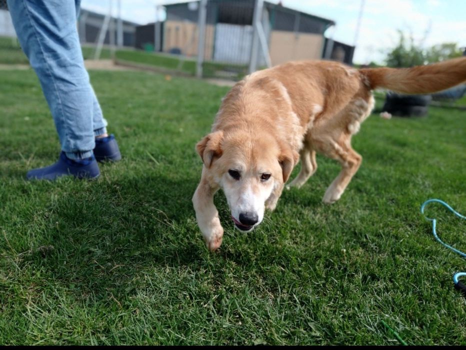 Hasio powinien być już dawno w domu
