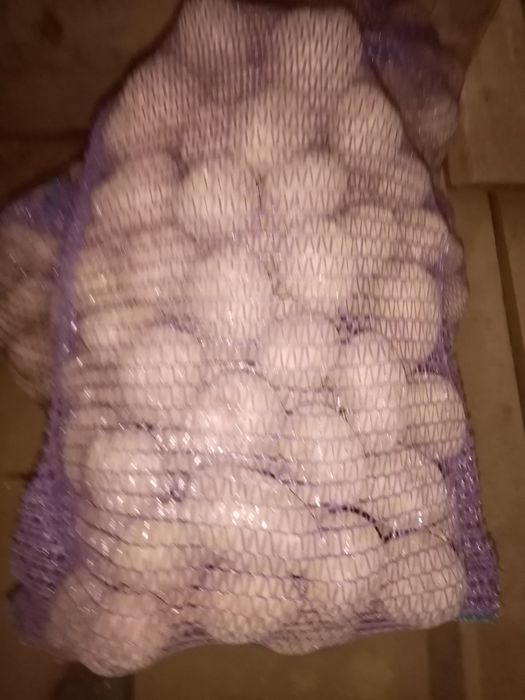 Ziemniaki belaroza soraja denar