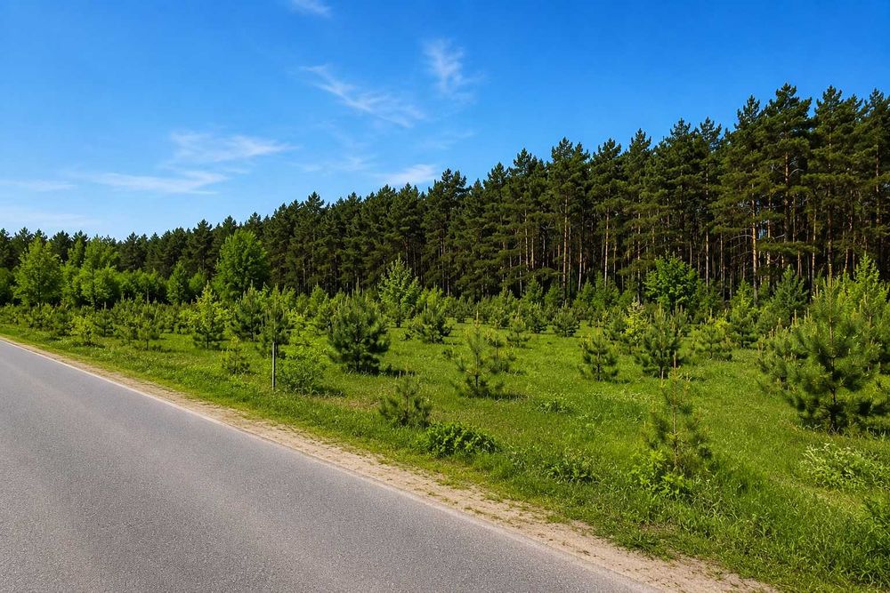Urokliwa działka budowlana – Łobódź, gmina Aleksandrów Łódzki