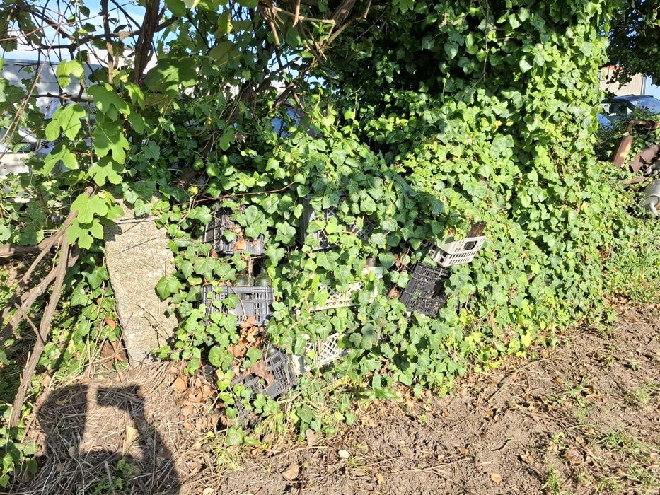 Garrafas de vinho e cerveja