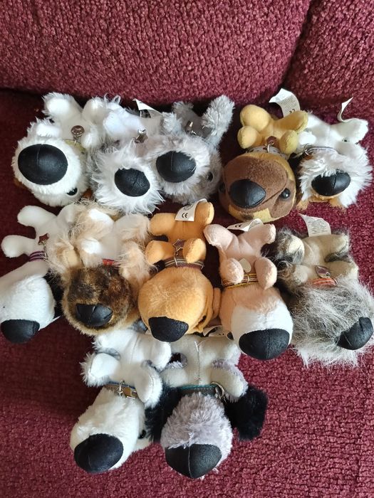 The Dog Collection
