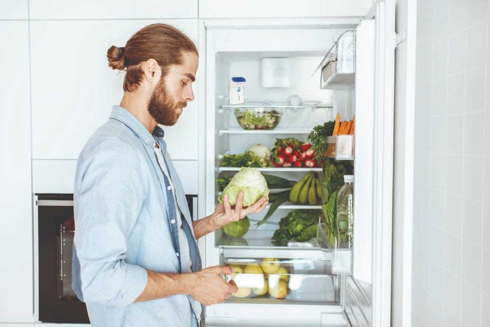 PureFridge-Purificador de Ar p/Frigorífico | Mantém Alimentos Frescos