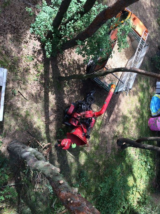 Wycinka,pielęgnacja,drzew,frezowanie,usuwanie karp,rębak,podnośnik