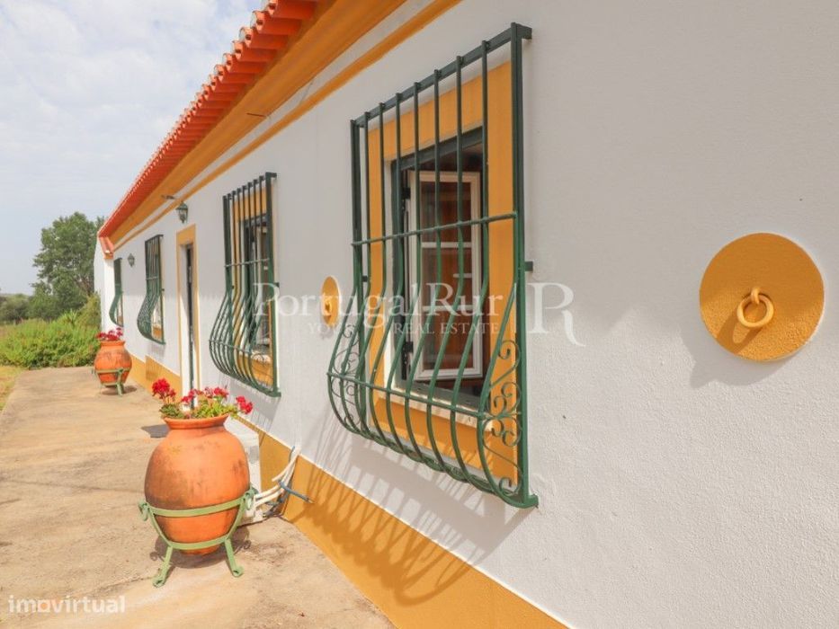Monte Alentejano T4 com 7 ha de vinha em Avis
