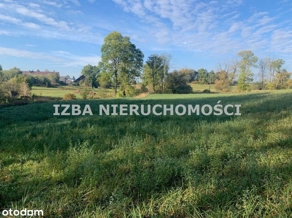Działka, Bienie