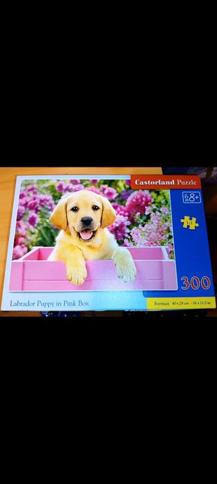 Puzzle 300, Castorland