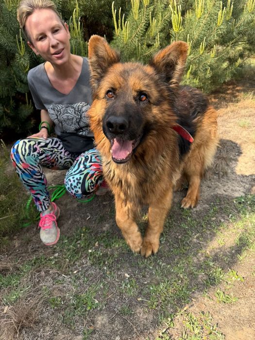 Axel cudo do adopcji