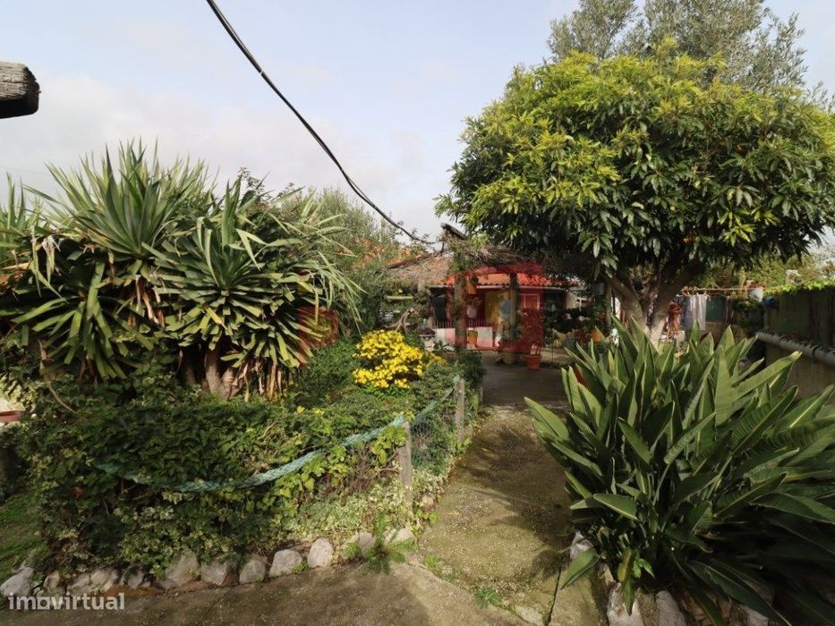 Terreno Com Casas - Sarilhos Grandes