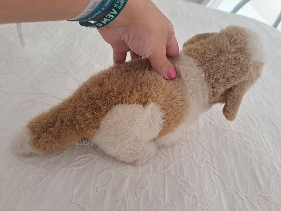 Urso de peluche super lindo