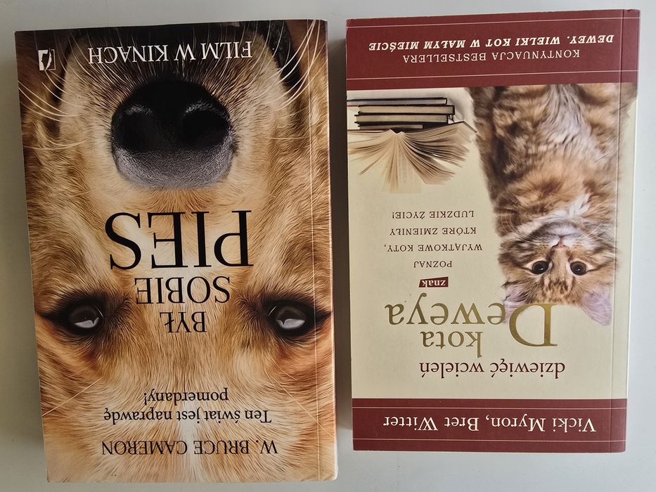 Był sobie pies, Dziewięć wcieleń kota Deweya