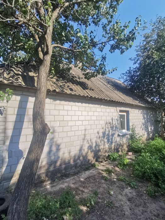 Село Озерная , дом 60м, участок 36 соток